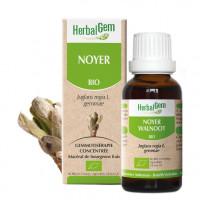 Noyer bourgeon Bio - Juglans regia Macérat - 50 ml - Herbalgem - Gemmothérapie - 1-Noyer bourgeon Bio - Juglans regia Macérat - 30 ml - Herbalgem