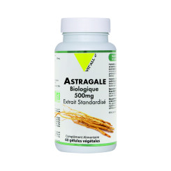 Astragale Vitall+ Extrait 500 mg BIO  60 capsules - Gélules de plantes - 1