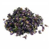 Infusion de Violette Bio - Fleur