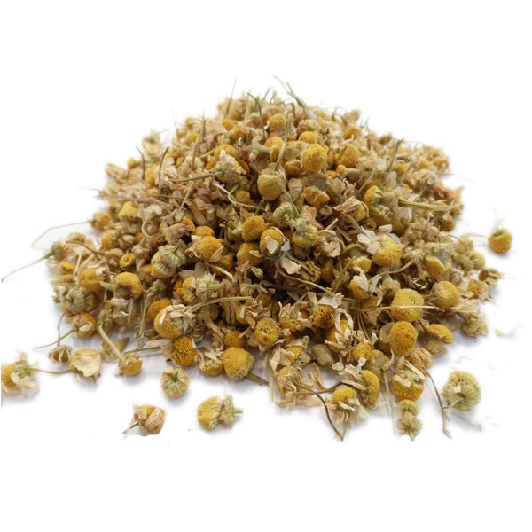 Camomille (Chamomilla recutita) - Lexique des plantes : Plantes médicinales  & herbes 