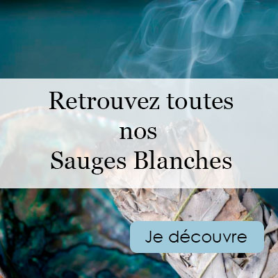 Sauge Blanche à Brûler - Purification & Fumigation - Manohi