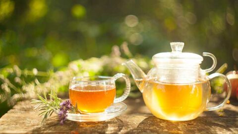 Tasse de tisane d'arrête de boeuf bugrane