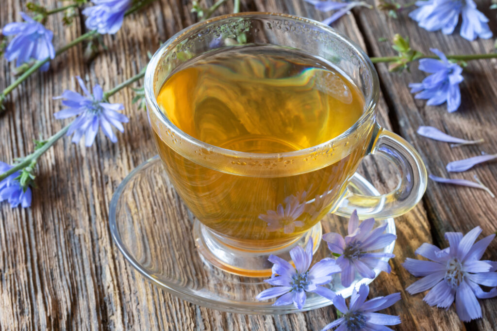 tisane chicorée sauvage