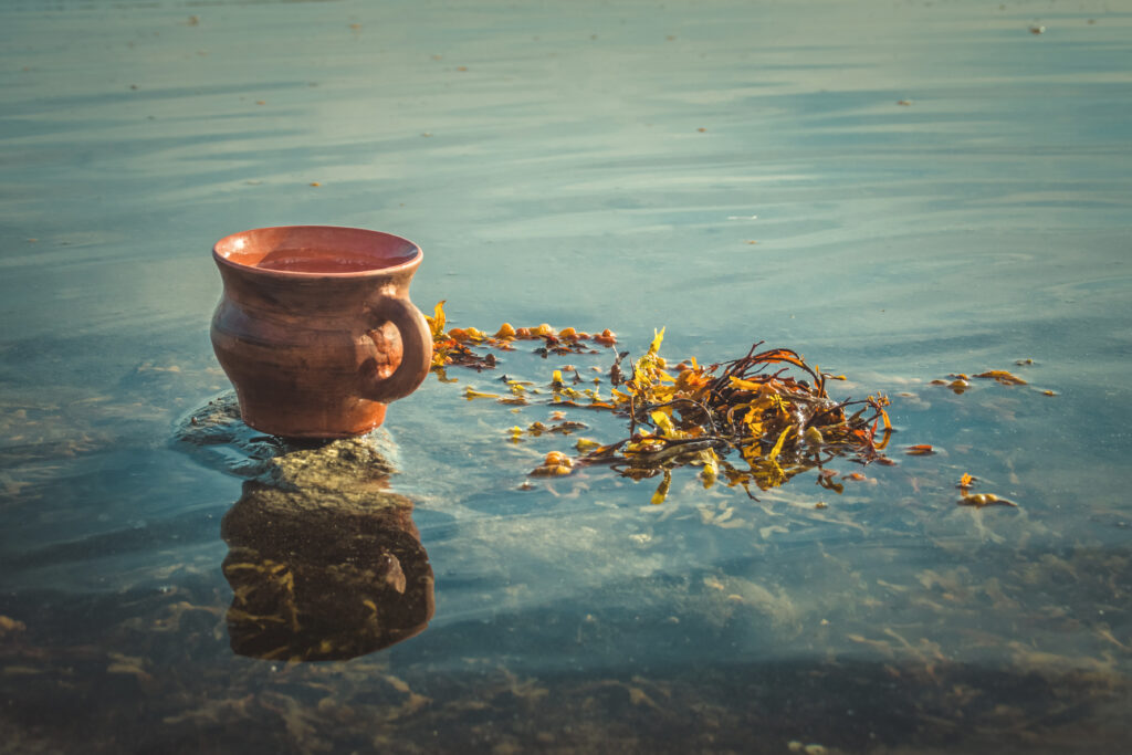 tisane fucus tasse de thé infusion