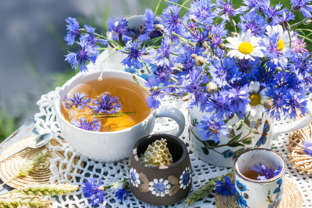 tasse de thé bleuet