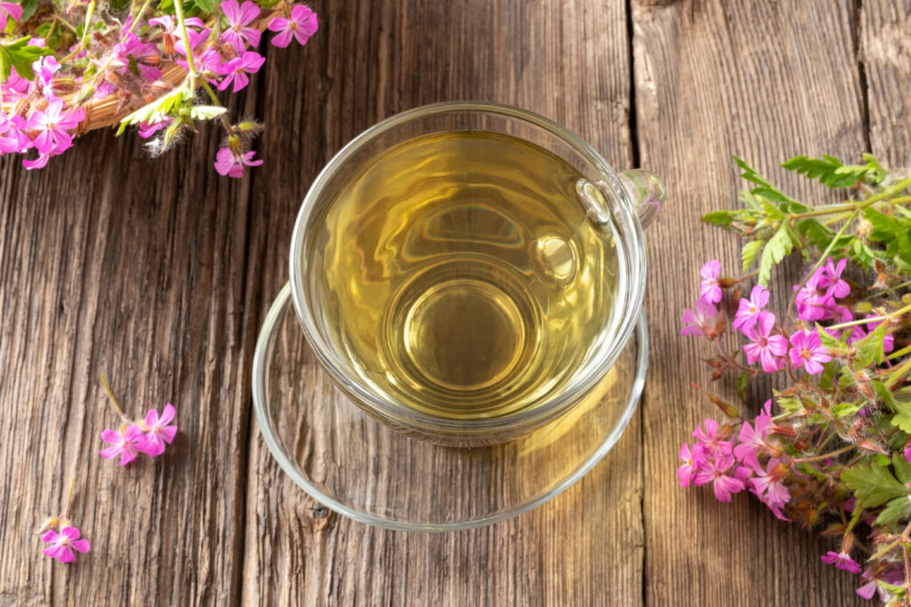 tisane géranium à robert tasse de thé fleurs