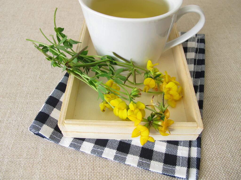 tisane lotier corniculé tasse de thé fleurs