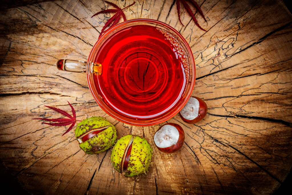 tisane marron d'inde fruit infusion