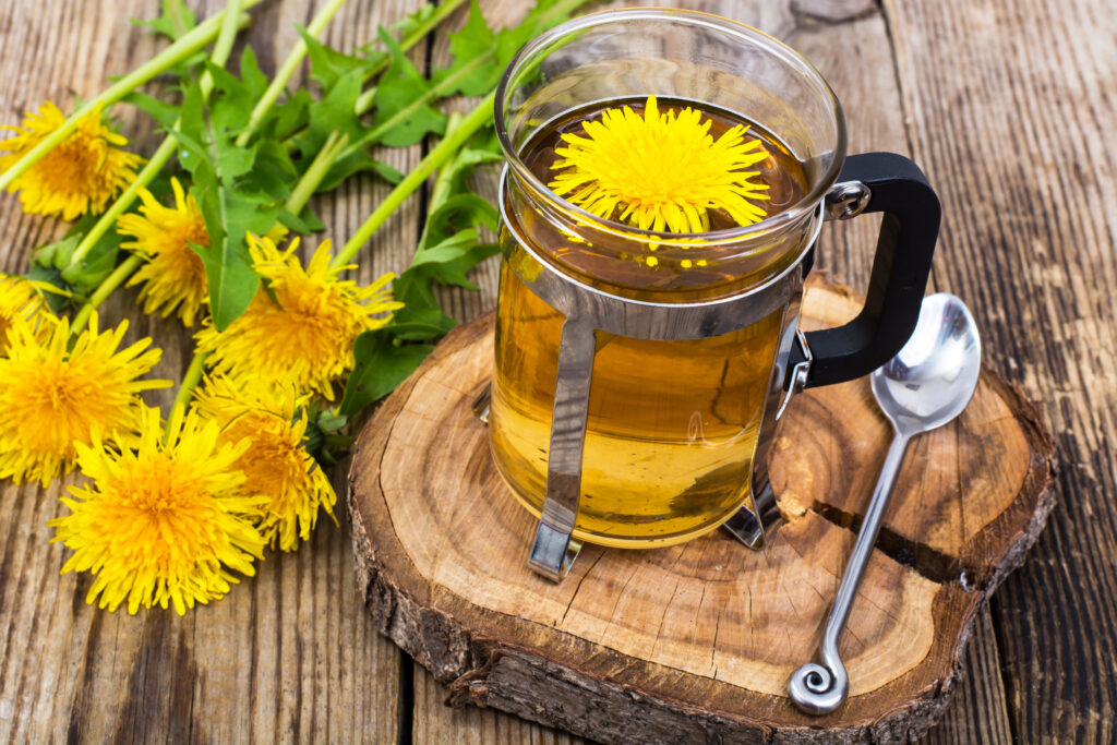 tisane pissenlit tasse de thé fleurs infusion