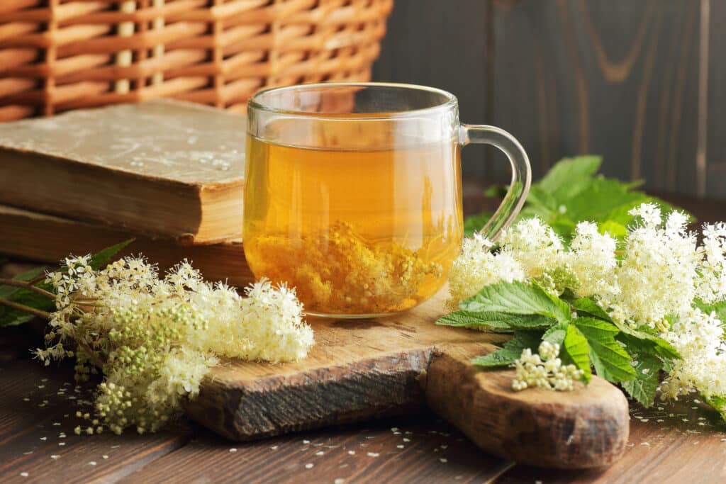 tisane reine des prés infusion plantes tasse de thé