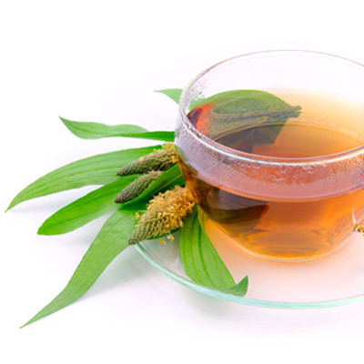 Consommer du thé bio, un enjeu de santé majeur - Guide du Thé par